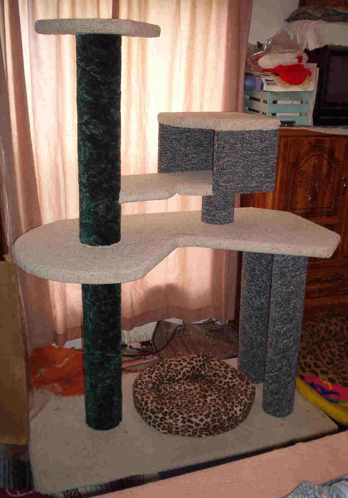 cattree.jpg
